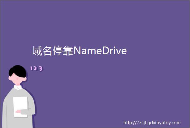 域名停靠NameDrive
